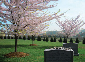Spring at the Garden of Remembrance