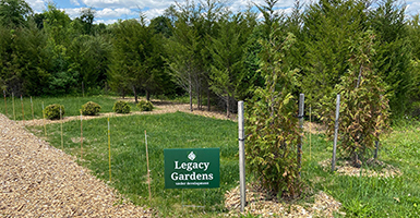 Legacy Gardens